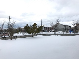 IMG_2453