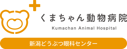 くまちゃん動物病院