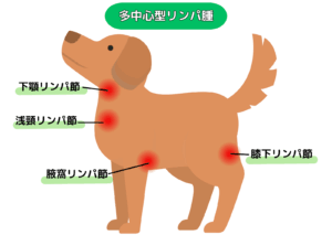 犬と猫の多中心型リンパ腫