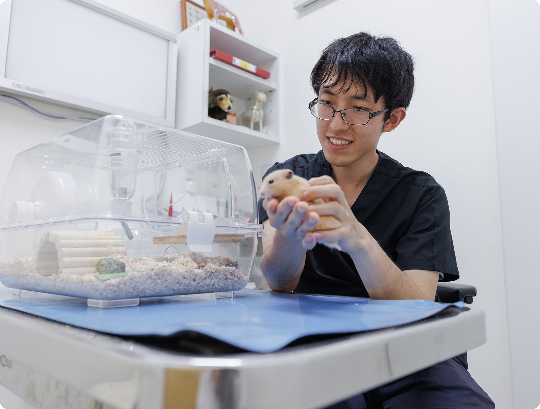 「迅速な対応と判断」を大切に、飼い主さまの想いを尊重したい