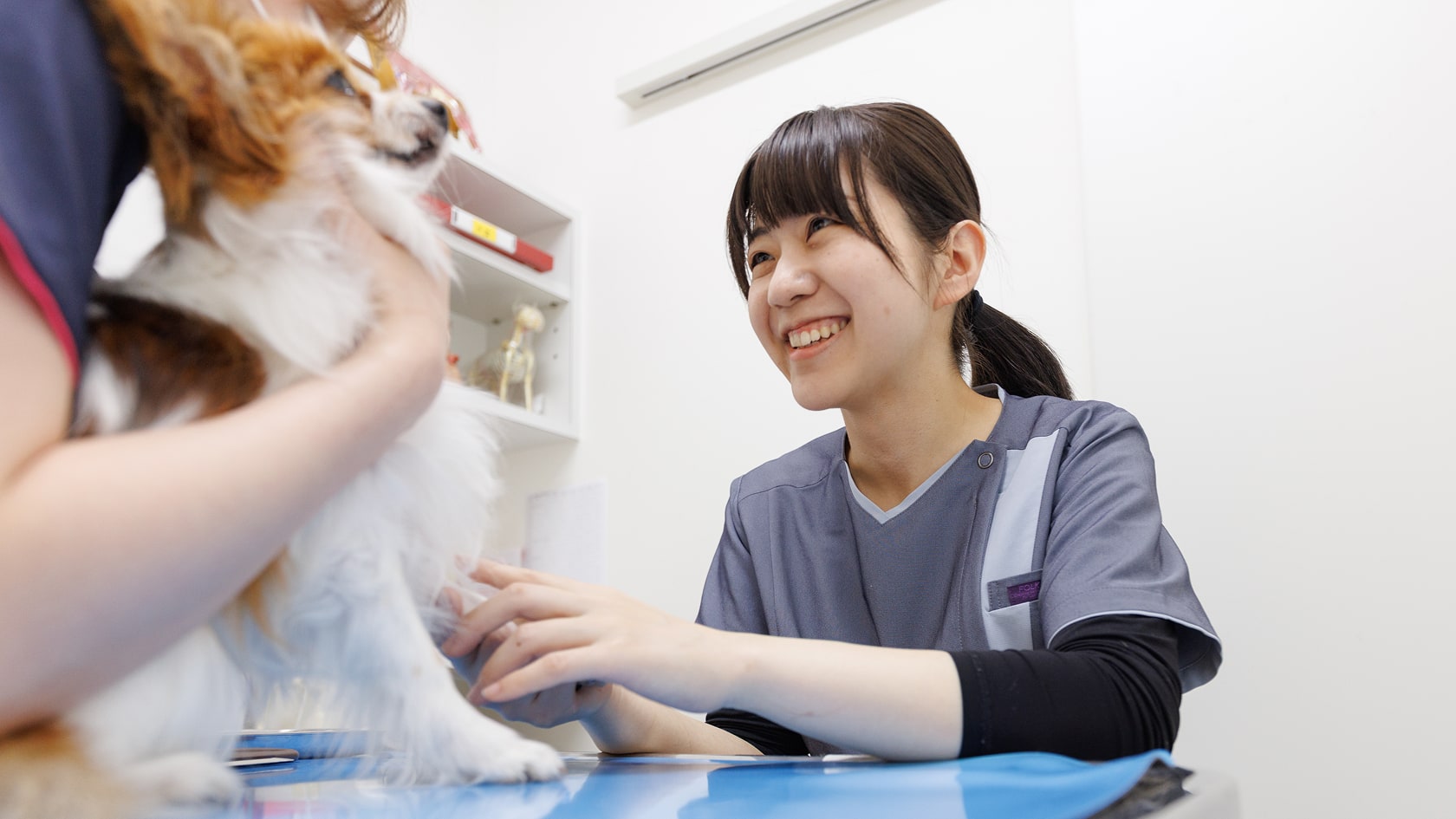 愛玩動物看護師